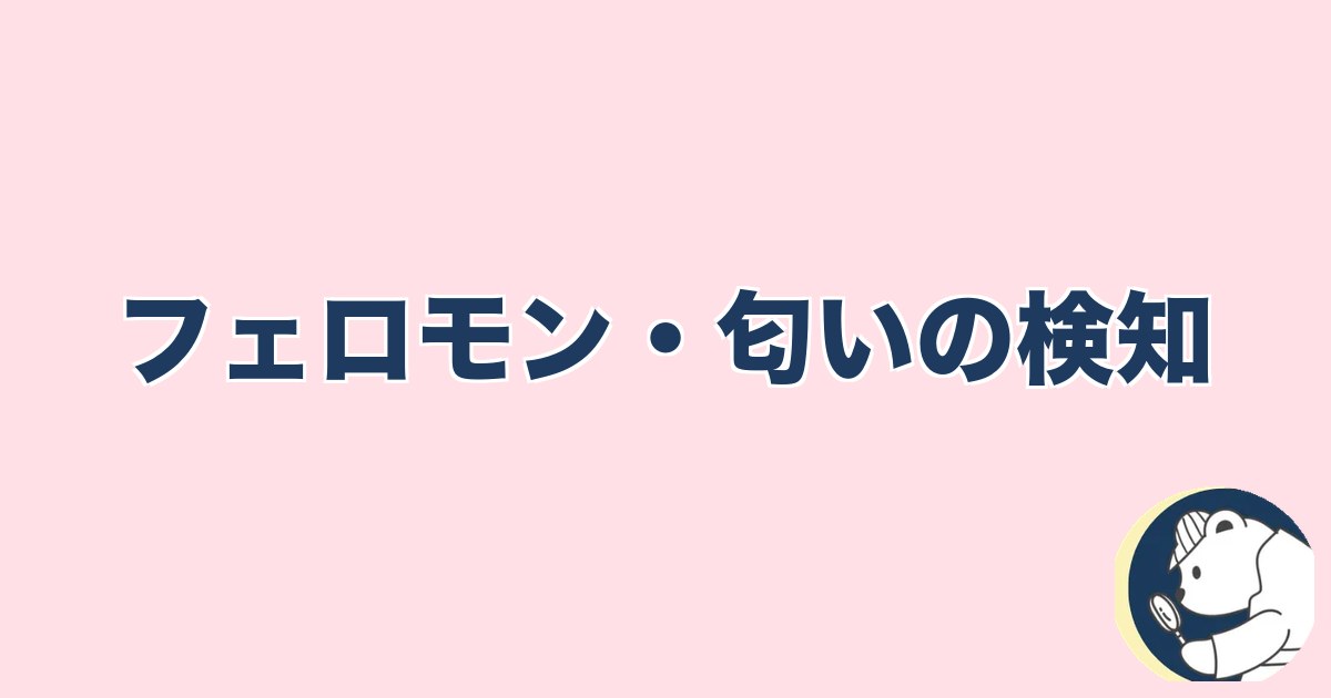 この人と何かある異性への直感｜フェロモン・匂いの検知